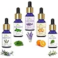 Homeda Essential Oils - Lavender, Tea Tree, Rosemary, Sweet Orange, Peppermint - 15ML each - Set of 5 for Hair Growth, Skin care, Diffuser essential oil for Home Fragrance