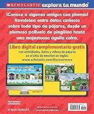 Image de Scholastic Explora Tu Mundo: Pajaros: (Spanish Language Edition of Scholastic Discover More: Birds) (Scholastic Explora Tu Mundo/Scholastic Discover M