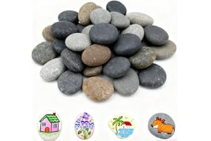 FYUUUCN 20 Stück Flache Steine zum Bemalen, 3-5cm kleine Kieselsteine, Mandala Malsteine Glatte Naturstein Strand Kiesel Flusskiesel für Bemalen, Steine zum Basteln Blumentöpfen und Garten/Aquarium Deko