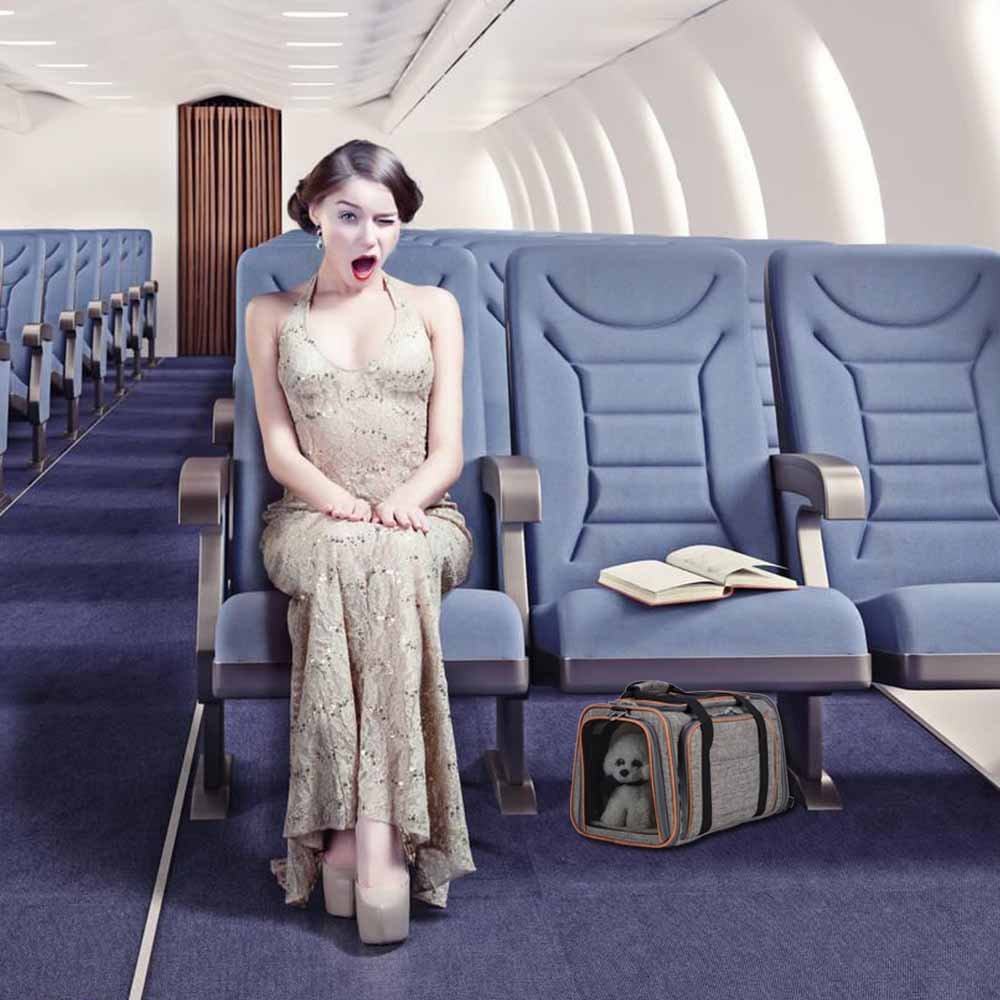 Sac-Transport-Chat-Transport-Des-Petits-Animaux-Luxe-Sacs-De-Transport-Pour-Chiens