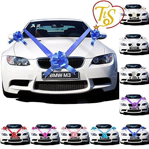 TtS 1/3/5 Bowknot & 7M Band Antennenschleifen Schelifen Autogirlande Autodeko Hochzeit