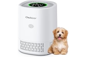 CHUBOOR Purificateur d'air allergique pour chambre à coucher, purificateur d'air CADR 240 m³/h pour chambre à fumer, 3 minuteries, 4 vitesses, mode veille, purificateur d'air H13 HEPA pour poils d'animaux