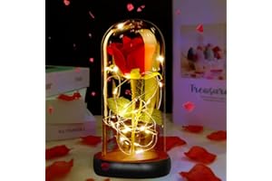 DASIAUTOEM Rose Éternelles, LED Rose Eternelle Cadeau Kit, Romantique Décoration La Belle et la Bête Rose en Verre avec Lumières LED, Dôme en Verre Rose pour Mariage Fête Anniversaire Amis Amoureux