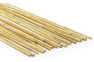 Generico, Canne di bambù naturali, per piante, orto, decorazione e arredamento (25, 210 cm/Ø 10/12 mm)