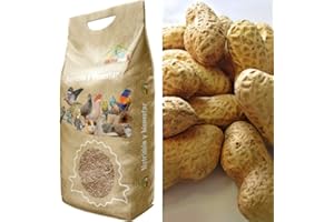 Faunamix Cacahuetes con cáscara crudos. Complemento alimenticio para Loros (2 kg)