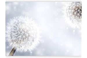 murando - Papier peint panoramique moderne 400x280 cm - Revêtement mural décoration pour chambre salon - Design unique et moderne - Beige gris - Pissenlits fleurs nature plantes 10110906-56