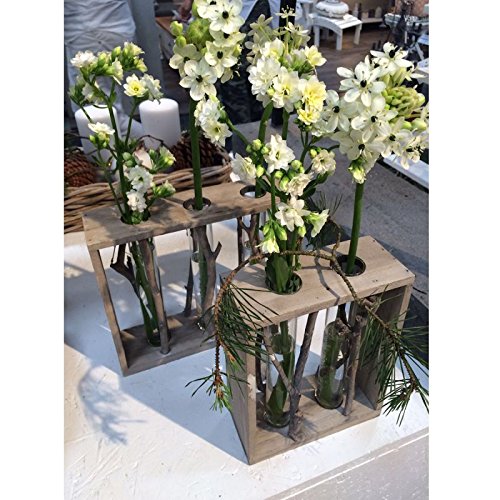 Vase mit zwei Reagenzgläsern in Holzrahmen – Reagenzglasvase Vasen Tischvase Glasvase - 3