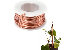 SOGHO Filo di rame, filo di rame, filo di rame, 0,2 mm x 10 m, Valutazione della temperatura naturale, ampiamente utilizzato per trasformatori, induttori