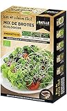 Kit de 3 sobres diferentes con bandeja germinadora
