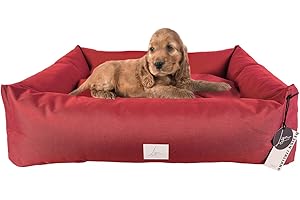 Ligo Buddy-Cuccia per cani Lettino per cani idrorepellente antigraffio,realizzata in Italia.Cuscino Sfodrabile per Cane, uso interno/esterno. Antimacchia. S/M: 70 X 65 cm, BORDEAUX