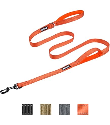 Reflecterende Hondenhalsband met Gesp