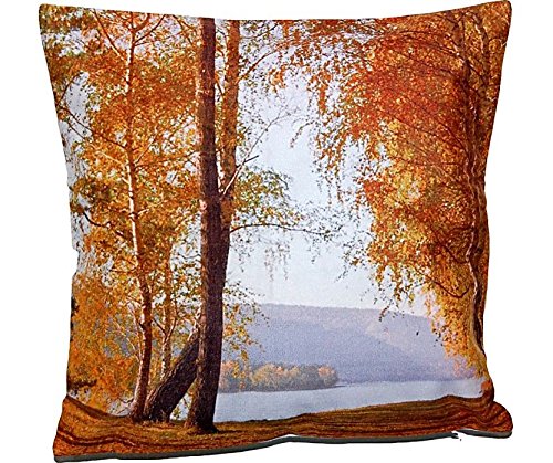 weiche KISSENHÜLLE 40×40 cm Herbstlandschaft am See Kurzvelours Polyester Dekokissen Kissenbezug TREND FOTOprint Kissen Frühling Sommer Herbst (Herbstlandschaft Bunt) - 2