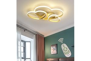 TANE Plafoniera LED Dimmerabile con telecomando, Lampada da Soffitto per Soggiorno Cucina Bambino Cameretta Corridoio Bagno, Moderno forma di cuore Design Lampadario Paralume Acrilico (D'oro, L50*W35cm)
