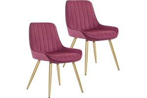 Lestarain Lot de 2 Chaises de Salle à Manger avec Dossier Chaise de Cuisine Rétro Chaise de Salon Assise en Velours et Pieds en Métal,Bordeaux