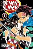 Demon Slayer: Kimetsu no Yaiba, Vol. 1 by
