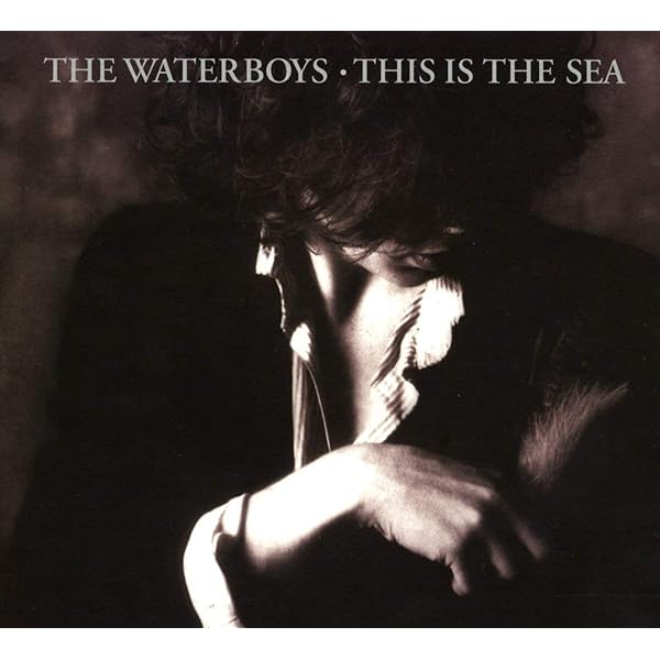 洋楽 THE WATERBOYS / 1985 (Deluxe Edition) Clamshell box set edition of The Waterboys' 1985 due in April