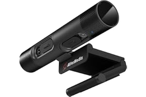 AVERMEDIA WEBCAM, DUALCAM CAM (PW313D), CON MICRO 61PW313D00AE