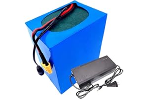 STDPCXZ Batteria Al Litio Per Bici Elettrica 24V 10AH 12AH 15AH 20AH Per Motore Per Mountain Bike Da 250W 350W 500W 750W 1000W, Capacità Ad Alta Batterie Al Litio Con Caricabatterie 24V 10AH,XT60 plug