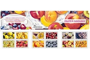 GÉNÉRIQUE Carnet de 12 timbres 20g - Timbre Poste Autocollant Neuf – Lettre verte - Timbres Poste France planche - Etiquette autocollante France - Pour colis, enveloppe bulle cadeau Noel