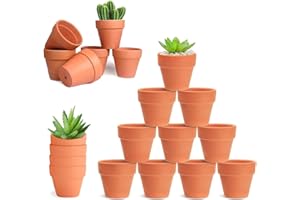 HDKAJL Pot Terre Cuite 20 Pièces, Petit Pot en Terre Cuite 4.8cm de Diamètre Mini Pot de Fleur avec Trou de Drainage pour Suculentes Cactus Intérieur Extérieur Plantes Maison