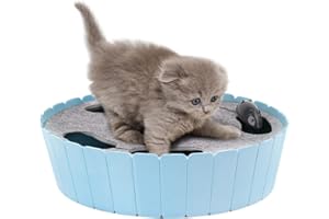Pawaboo Jouet interactif pour chat avec souris de course, mouvement électronique automatique pour chats d'intérieur, souris de chasse Pop and Play, pour chaton, jouet amusant, bleu