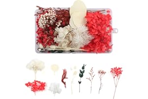 WJIAEER Flores naturales secas en relieve Flores preservadas Resina DIY Joyería Vela Arte de uñas Artesanía Scrapbooking Decoración floral（O）. (U)