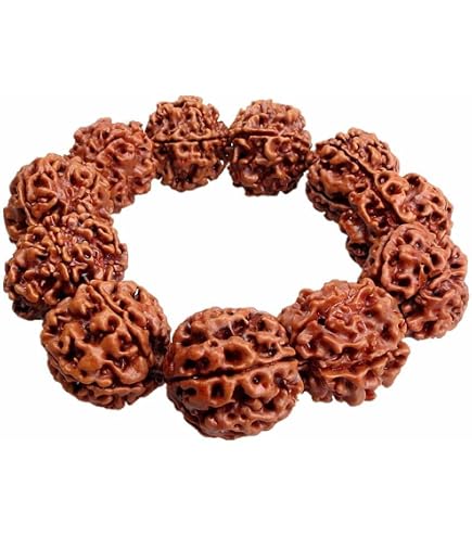 LAB CERTIFIED 54 + 1 Bead Indischer Herkunft Rudraksha Mala 5 Mukhi 5 Gesichter, Große Perlen 18-20 Mm 36 Zoll, Lord Shivas Rosenkranz Jaap Mala Gebet - Österreich