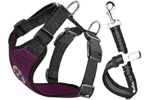 SlowTon Arnés de Coche para Perro con Correa de Conector, multifunción, Ajustable, Doble Tejido de Malla Transpirable, arnés de Chaleco de Viaje con cinturón de Seguridad