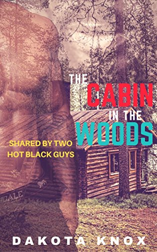 The Cabin In The Woods Shared By Two Hot Black Guys Ebook Dakota