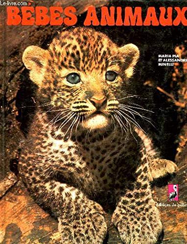 couverture de : Bebes animaux
