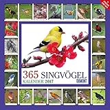 365 Singvögel 2017 by 