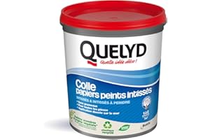 Quelyd Colle Papiers Peints Intissés en Pâte – Toutes Pièces - Application Directement Au Mur – Prête à l'Emploi – Sans Solvant – Pot de 1 Kg