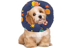 Ducomi Molly Collare per Recupero Cane Gatto – Regolabile Collarino Elisabettiano Protettivo Morbido per Animali Domestici per Guarigione Ferite Intervento Chirurgico (S, Universe)