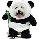 dog dressed as panda