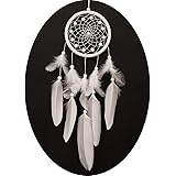 Vientiane Dream Catcher, Feather Handmade Cattura la Rete da Sogni, Storie in Mitologia Indiana Americana per la Decorazione 