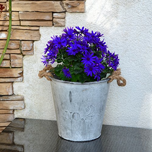 2x Blumenübertopf rund Pflanztopf Blumentopf Übertopf Landhaus - 3