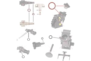 SNAPWORLD-KAFFEE Joint, joints toriques compatibles avec Saeco Philips Spidem Gaggia RI SM HD EP SUP, anneaux d'étanchéité pour unité de brassage, support de vanne, bec verseur, vanne de sortie, vanne de crème Set-12