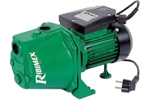 Ribiland 1314 - Pompe à Eau de Surface Auto-amorçante - 970 Watts - Débit de 40 l/min - Vert