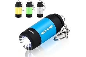 Infreecs 4 stycken mini LED-ficklampor, ficklampor barn, ficklampa USB-uppladdningsbara, ficklampor små med nyckelring, vatte