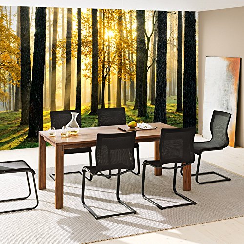 Vlies Fototapete 350×245 cm PREMIUM PLUS Wand Foto Tapete Wand Bild Vliestapete – SUNLIGHT FOREST ll – Wald Bäume Sonnenstrahlen grün grün Ruhe – no. 062 - 7