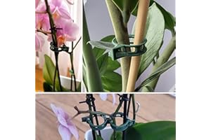 GARDENIX Pakiet 100 klipsów roślinnych Klipy roślinne do warzyw Pomidor Wsparcie roślin Ogórki, groch, bakłażany, fasola i kwiaty, takie jak storczyki