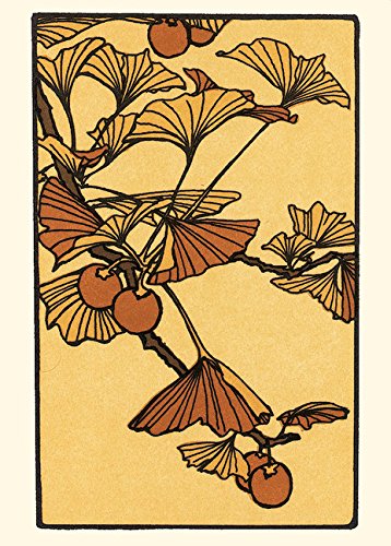 Preisvergleich Produktbild Ginkgo: Boxed Set of 6 Cards