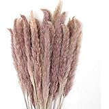 GoMaihe 30 Stück Pampasgras Getrocknet Deko, Trockenblumen Bodenvase Getrocknete Blumen 60cm, Kunstblumen Boho Deko Schlafzim