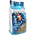 AquaNatural Marine Accents Lagoon 4 floz for Reef Tank and Aquarium, Decor, Shells, fossilized Corals and Aragonite, Sand, (ACCENT001)