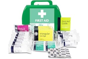 LEWIS-PLAST Premium Small 1-10 Persons Polypropylene First Aid Box - Complete with Integrated Carry Handle and Unique Flip-up Wall Mounting System - Meets Health & Safety Executive Guidelines
