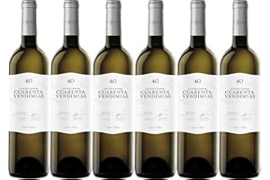 BODEGA CUATRO RAYAS CUATRO RAYAS Cuarenta Vendimias Verdejo - Vino Blanco DO Rueda (6 Botellas x 750ml)