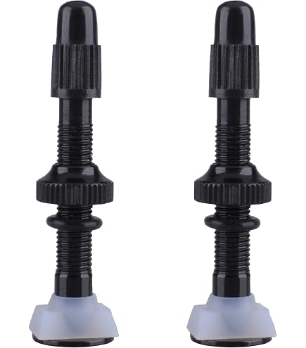Valve Presta DT Swiss 32 Mm Pour Pneus Sans Chambre à Air VTT - Argenté
