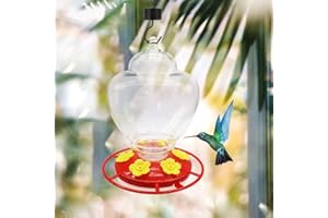 Fiorky Plume pour colibri, mangeoire en plastique pour oiseaux, bouteille d'eau avec crochet pour fleurs, distributeur de fleurs, mangeoire, mangeoire, oiseaux pour animaux domestiques