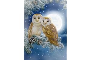 DCIDBEI DIY 5D Square diamond painting strass complet Kit de broderie diamant carré 5D à faire soi-même,peinture numéro adulte point de croix pour loisirs créatifs Motif hibou - 30 x 40 cm