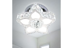 Cainjiazh Crystal Chandeliers Modern Small Chandelier Flower Crystal Ceiling Light for Living Room Bedroom Hallway Kitchen Small Room(Cool White)